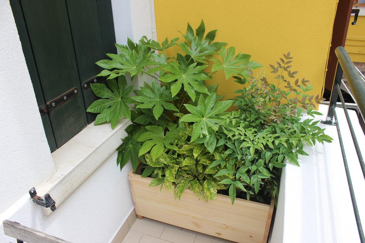 Typical Apartment of Chioggia · Casa Vacanze Giorgetta apartment in Chioggia — photo 5